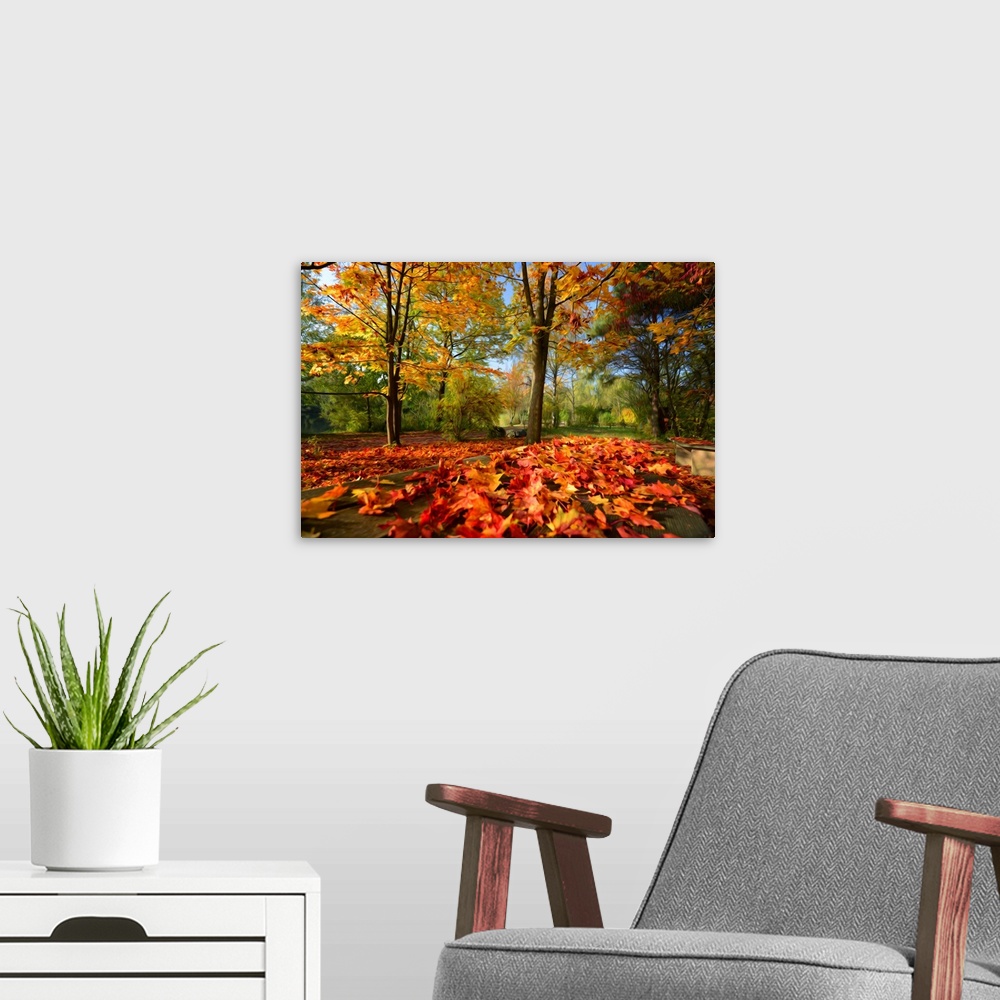 A modern room featuring A very colorful forest in autumn