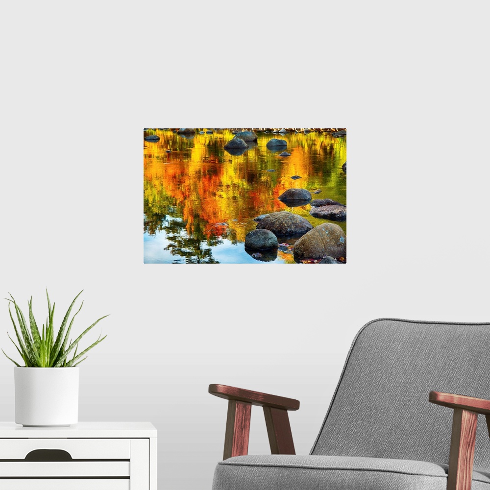 A modern room featuring Fine art photo of bright colors of a forest in autumn being reflected in a pond full of rocks.