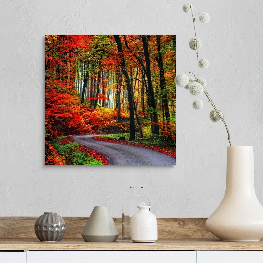 A farmhouse room featuring Square Fine Art photograph of a winding road leading upward through a forest of vibrant fall colors.