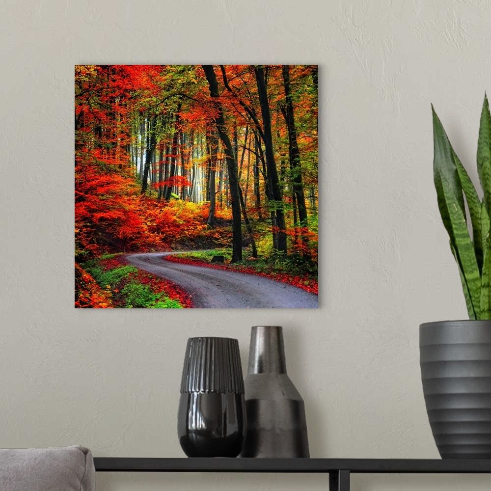 A modern room featuring Square Fine Art photograph of a winding road leading upward through a forest of vibrant fall colors.