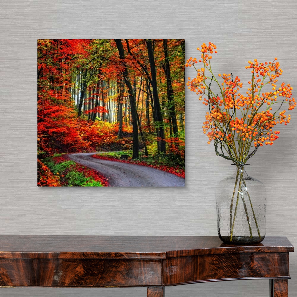 A traditional room featuring Square Fine Art photograph of a winding road leading upward through a forest of vibrant fall colors.