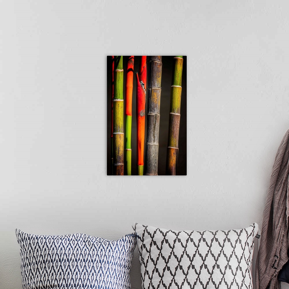 A bohemian room featuring Close up of colorful bamboo