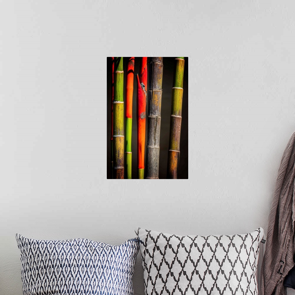 A bohemian room featuring Close up of colorful bamboo