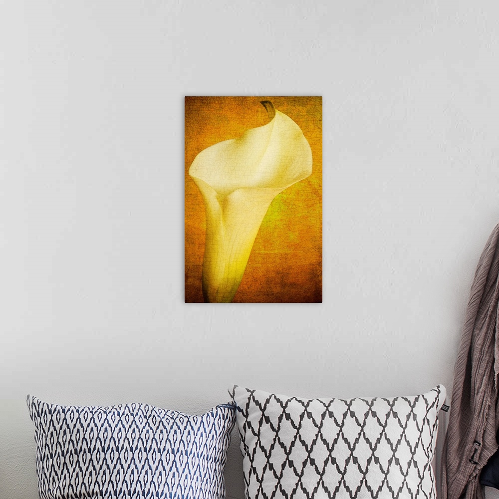 A bohemian room featuring A vintage image textured of a close-up of a calla lily flower on creams, golds and yellows.