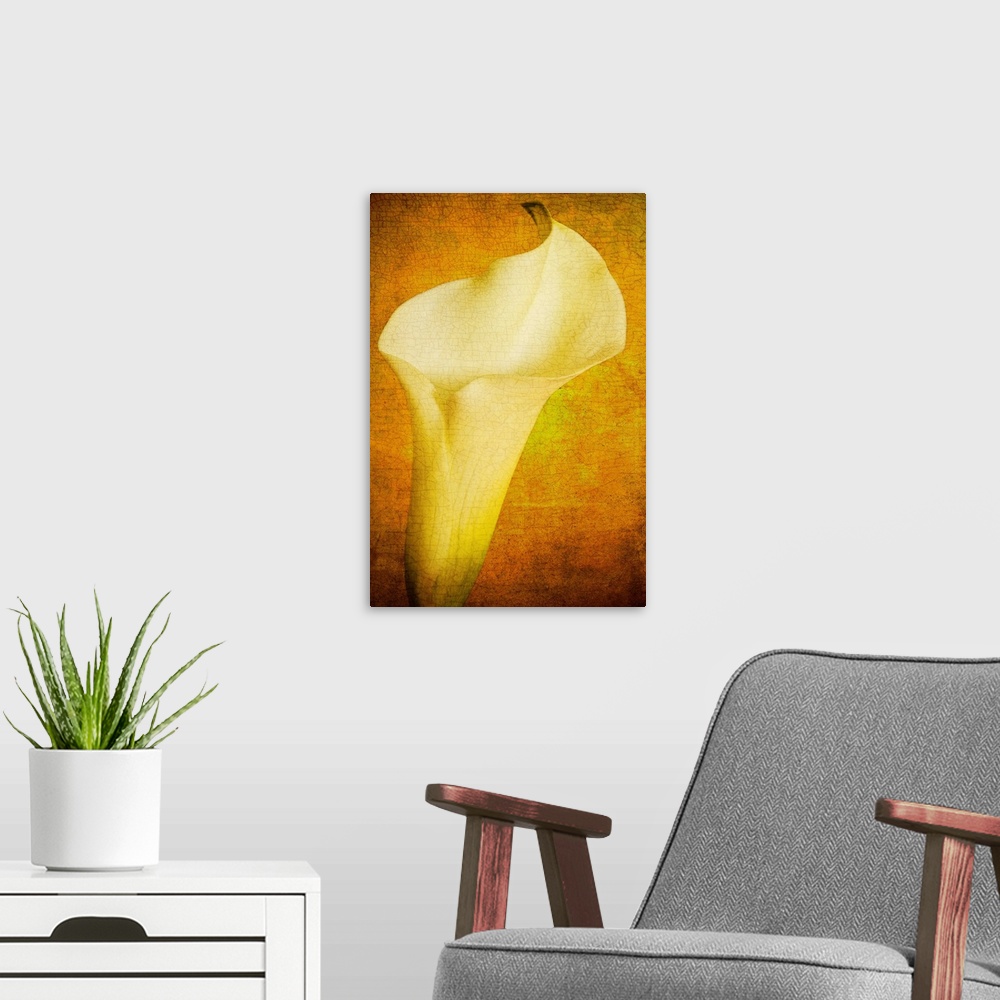 A modern room featuring A vintage image textured of a close-up of a calla lily flower on creams, golds and yellows.
