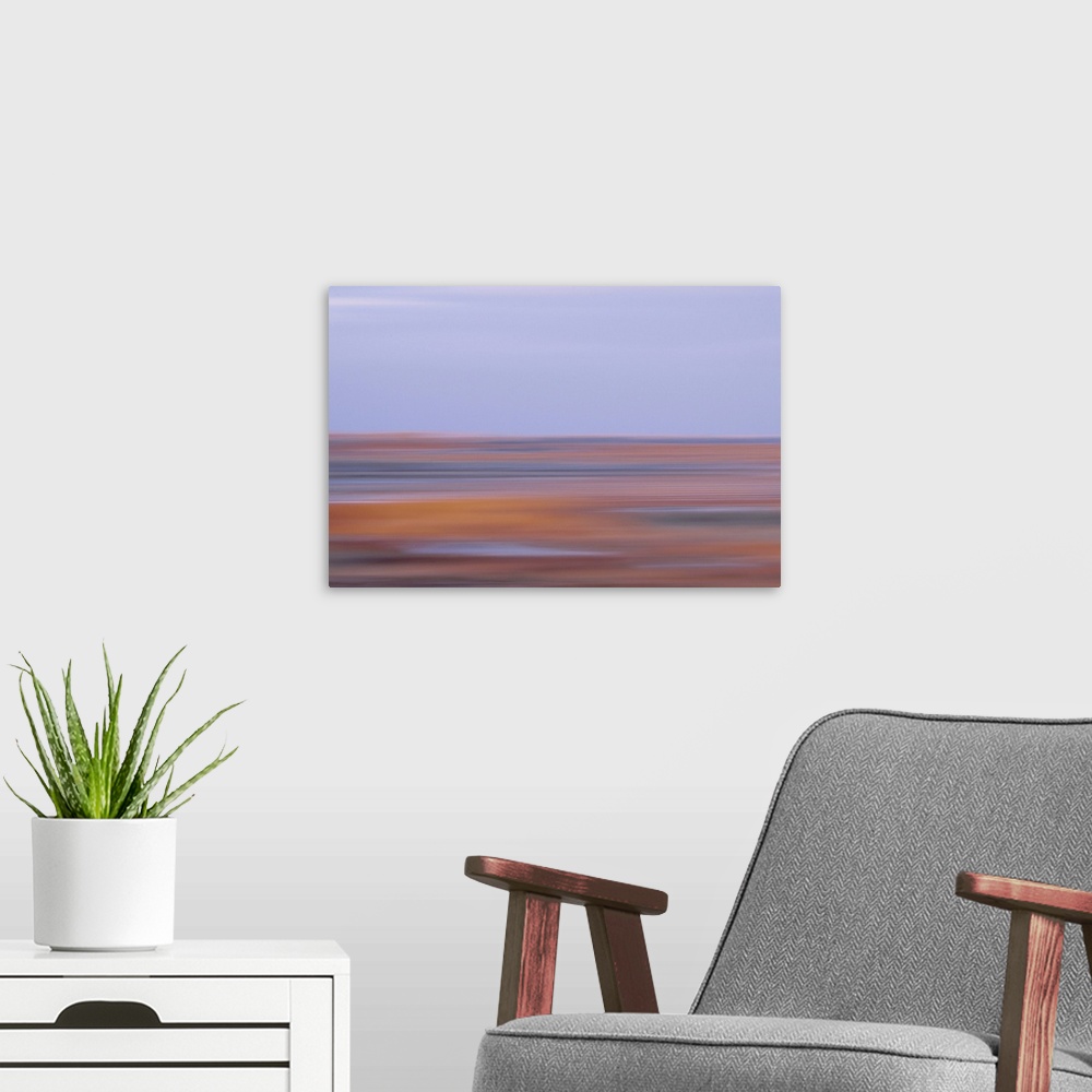 A modern room featuring Artistically blurred photo. Autumn view of nature reserve Agger Tange, south of the town of Agger...