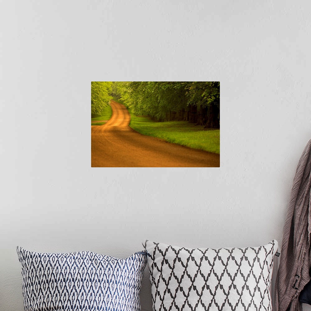 A bohemian room featuring Large canvas photo of a long dirt road with a dense forest on either side.