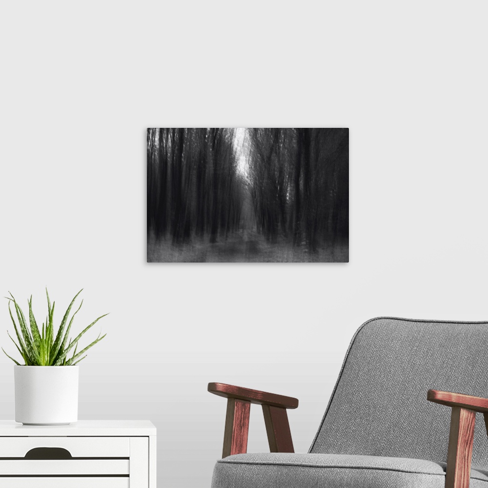 A modern room featuring Artistically blurred photo. Old forest Dover Plantage in North Jutland, Denmark, on a dark winter...