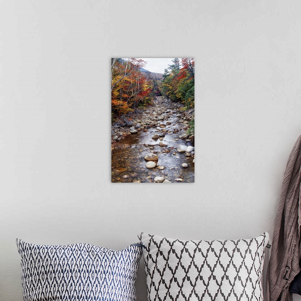 A bohemian room featuring Creek in an Autumn Forest with Colorful Foliage, White Mountains