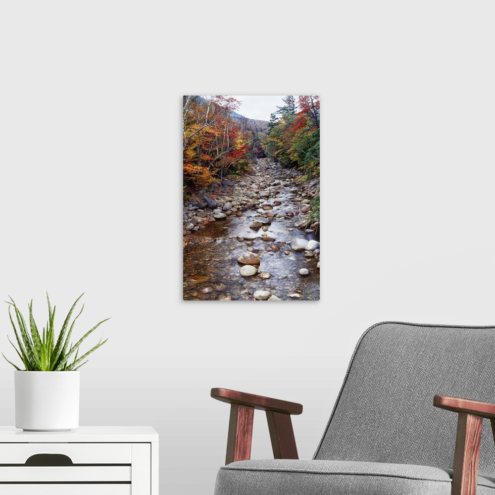 A modern room featuring Creek in an Autumn Forest with Colorful Foliage, White Mountains