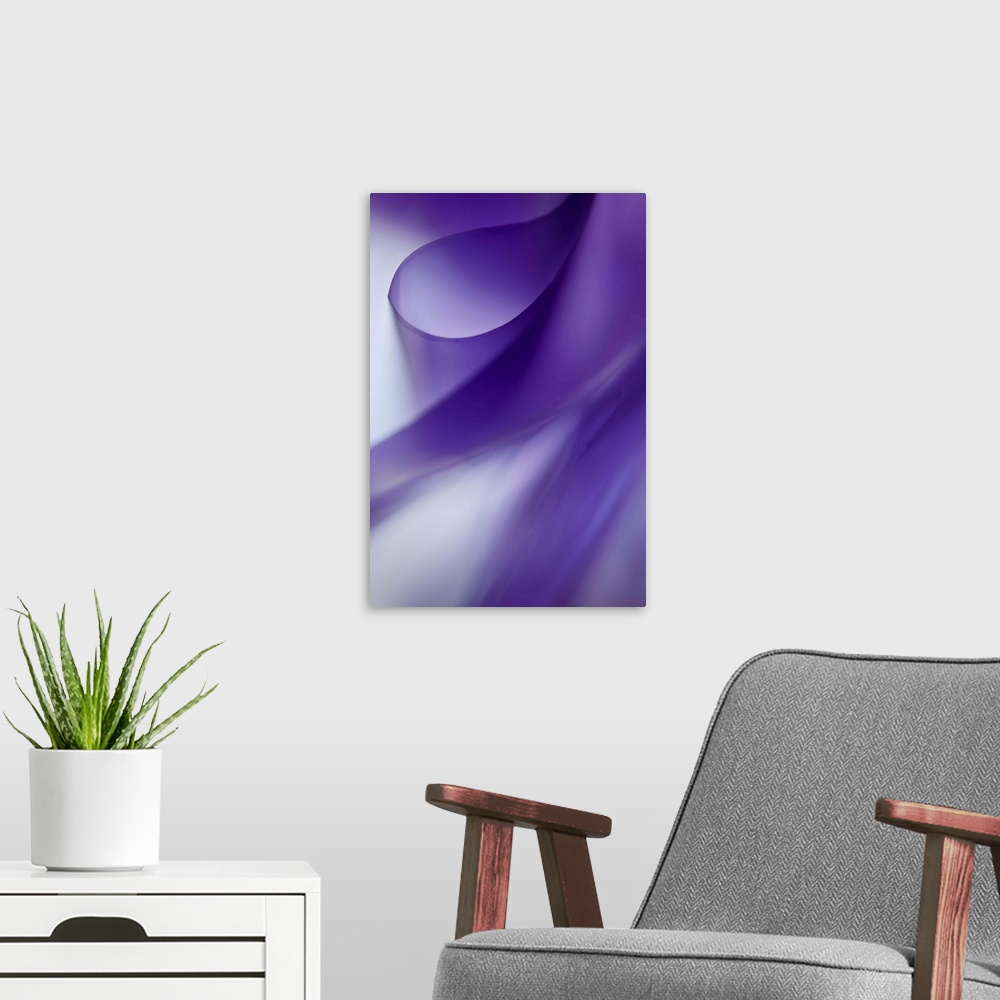 A modern room featuring Abstract photograph with ribbon-like curves of purple and white.