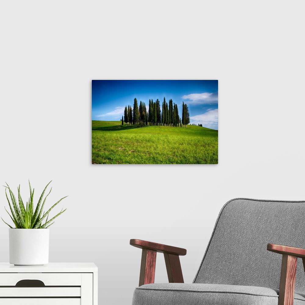 A modern room featuring Group of Cypress trees on a Knoll, San Quirico d'Orcia, Tuscany, Italy.