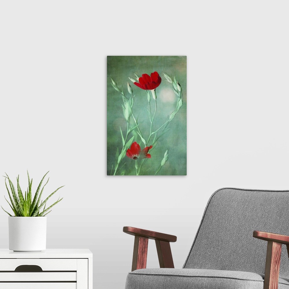 A modern room featuring Small red flowers dance in the wind. Using a photo texture