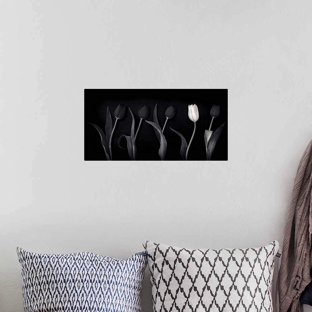 A bohemian room featuring A black and white monochrome panorama of tulips with one white tulip standing out as an individual.
