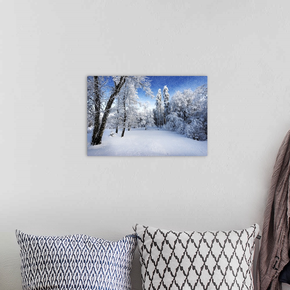 A bohemian room featuring A photograph of a forest in fresh snow in winter.
