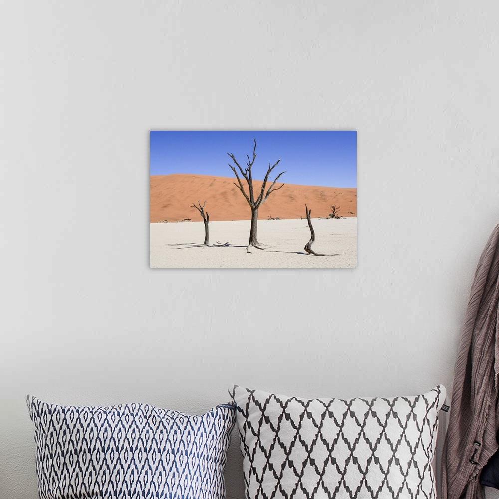 A bohemian room featuring Dead trees at Sossusvlei in the Namib desert.
