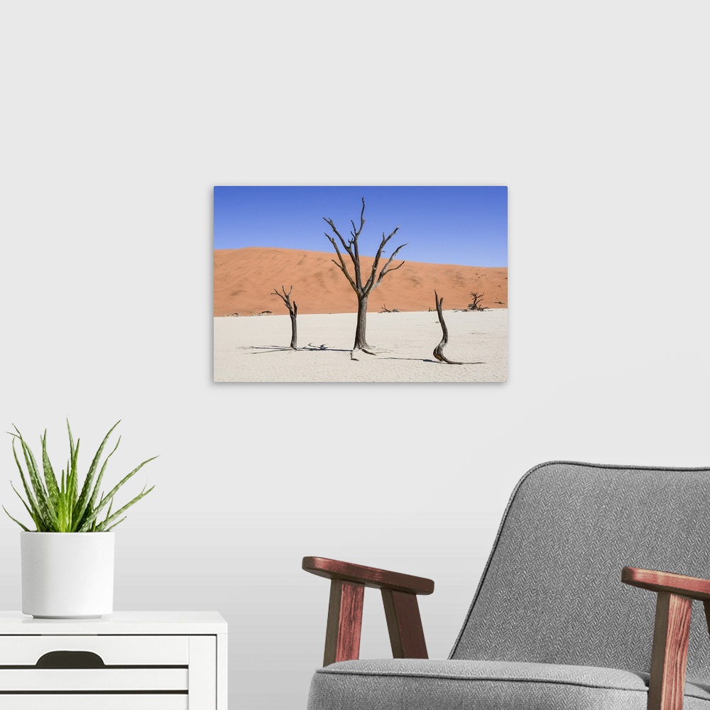 A modern room featuring Dead trees at Sossusvlei in the Namib desert.