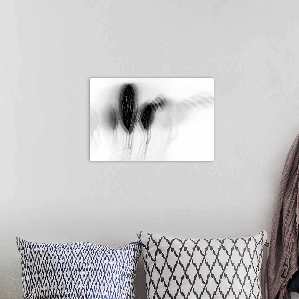 A bohemian room featuring Artistic abstract photograph of a multi-exposure image in black and white.