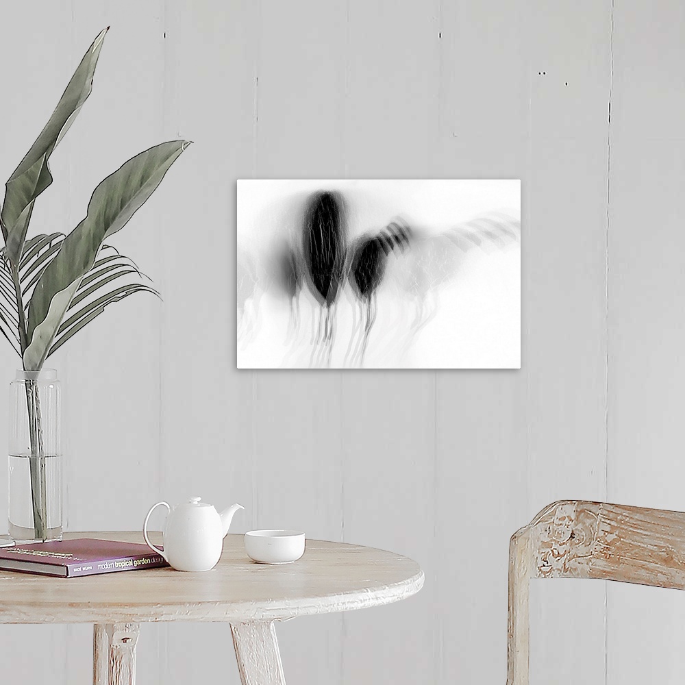 A farmhouse room featuring Artistic abstract photograph of a multi-exposure image in black and white.