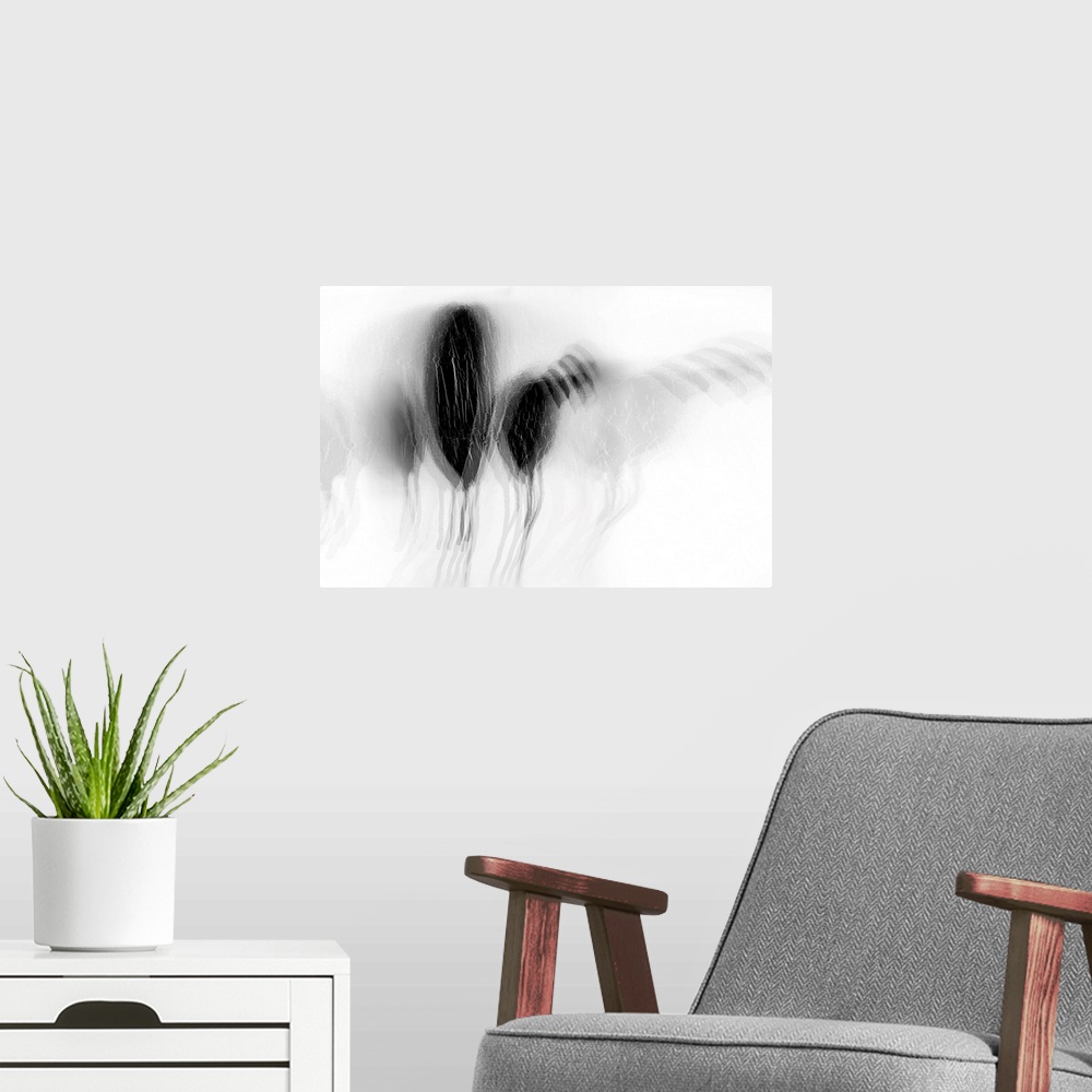 A modern room featuring Artistic abstract photograph of a multi-exposure image in black and white.