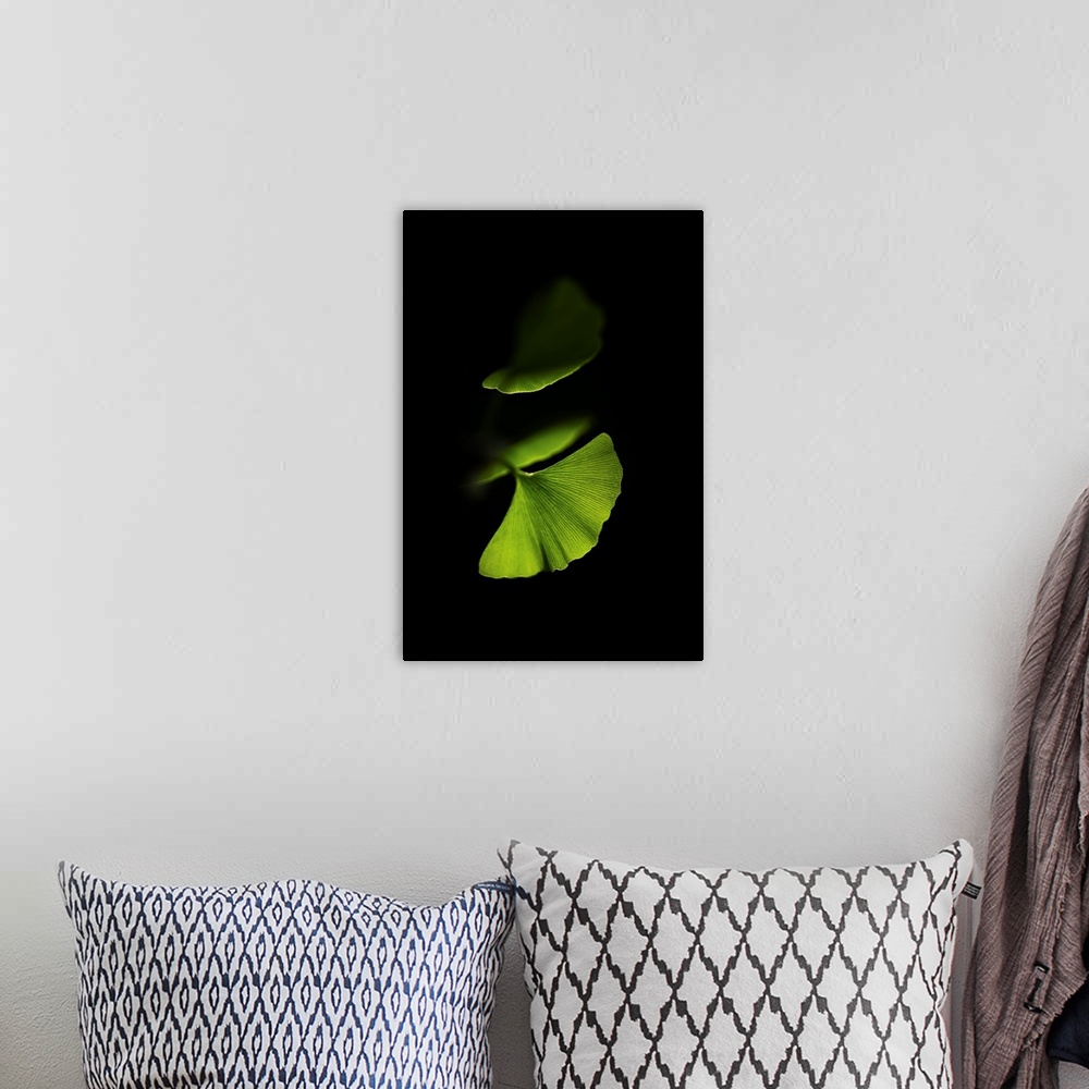 A bohemian room featuring Green gingko leaves on black background