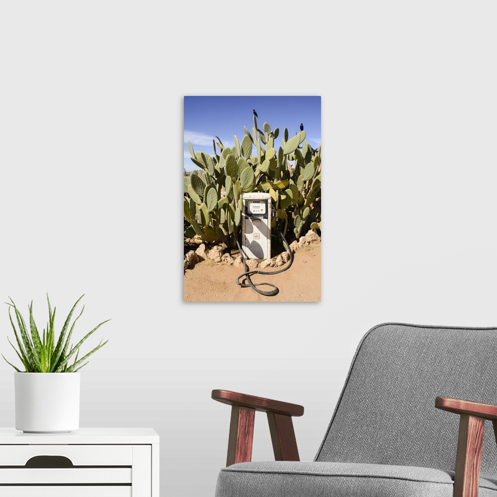 A modern room featuring An old gas pump overrun by cacti in the desert.
