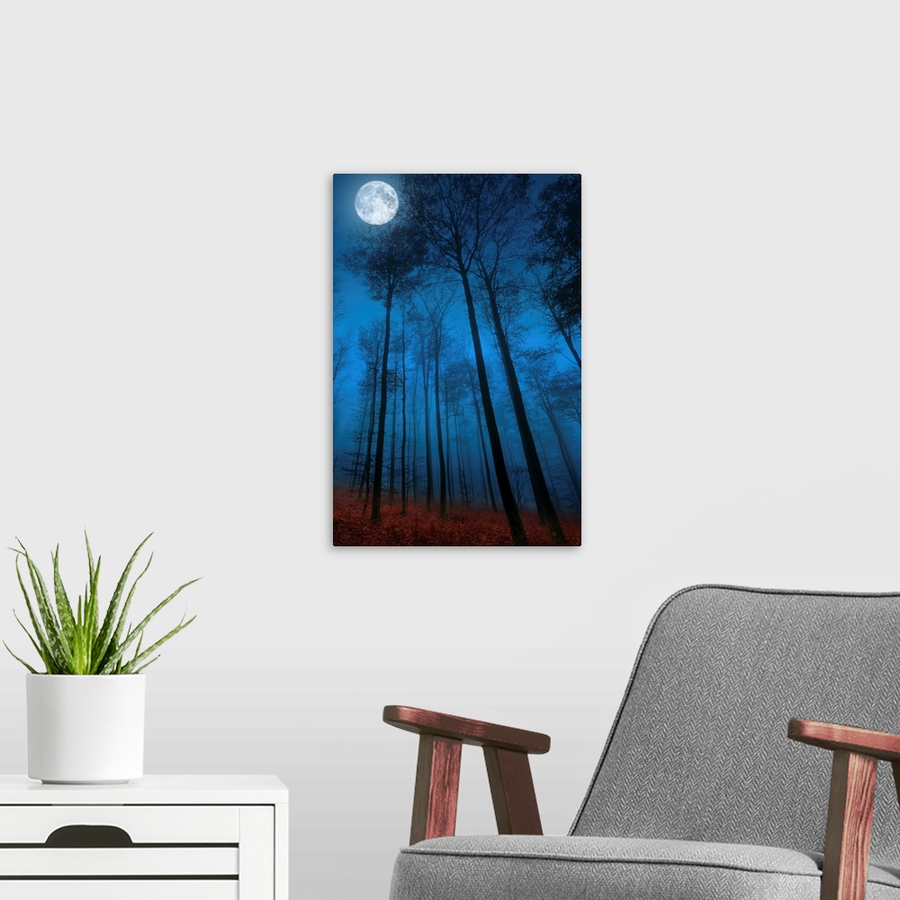 A modern room featuring Light from the full moon shining down on a forest of thin trees at night.