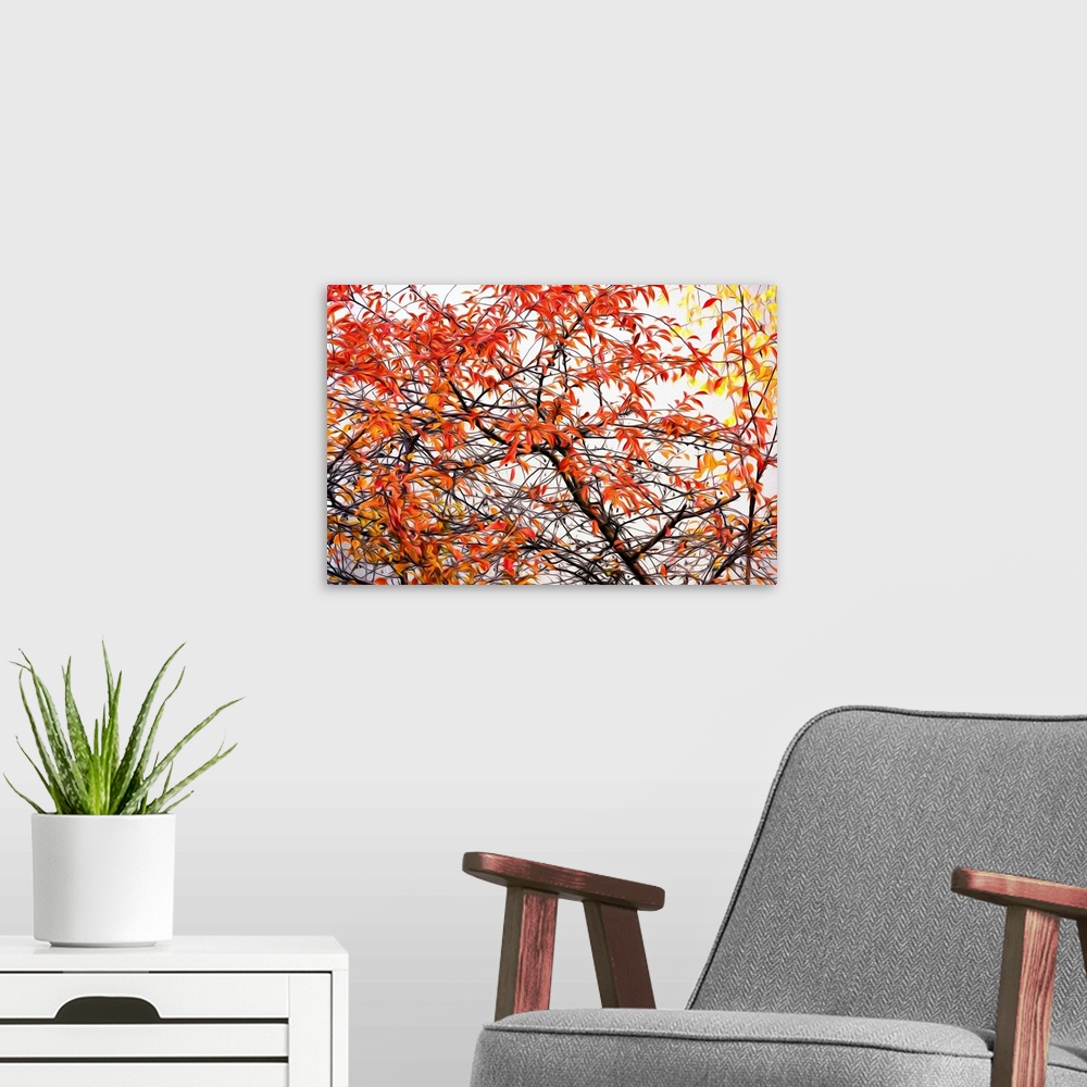 A modern room featuring Image of red, orange, and yellow Autumn leaves on a tree with a painted effect.