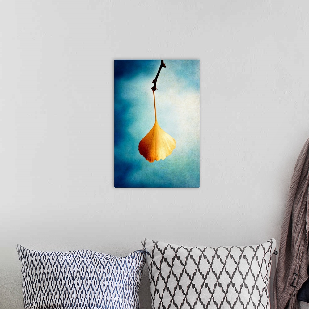 A bohemian room featuring Image of a single orange Gingko leaf hanging from a branch on a dreamy blue and white background.