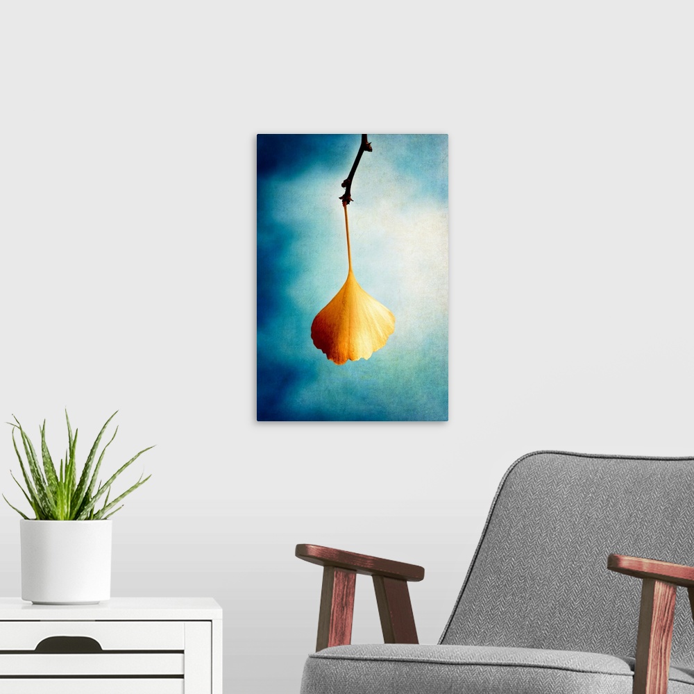 A modern room featuring Image of a single orange Gingko leaf hanging from a branch on a dreamy blue and white background.