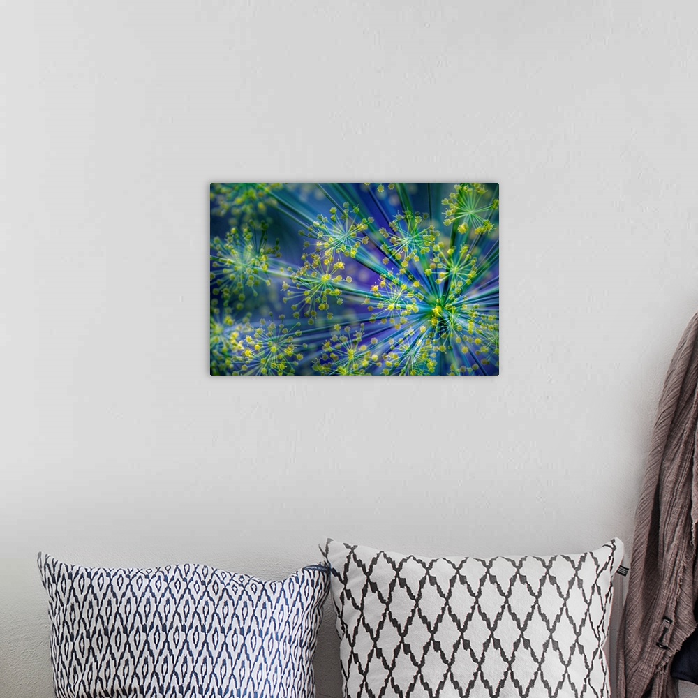 A bohemian room featuring A close-up photograph of a flower taken slightly out of focus and has psychedelic colors.