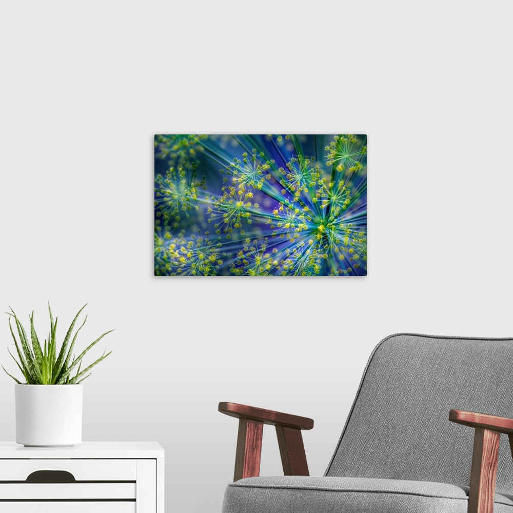 A modern room featuring A close-up photograph of a flower taken slightly out of focus and has psychedelic colors.