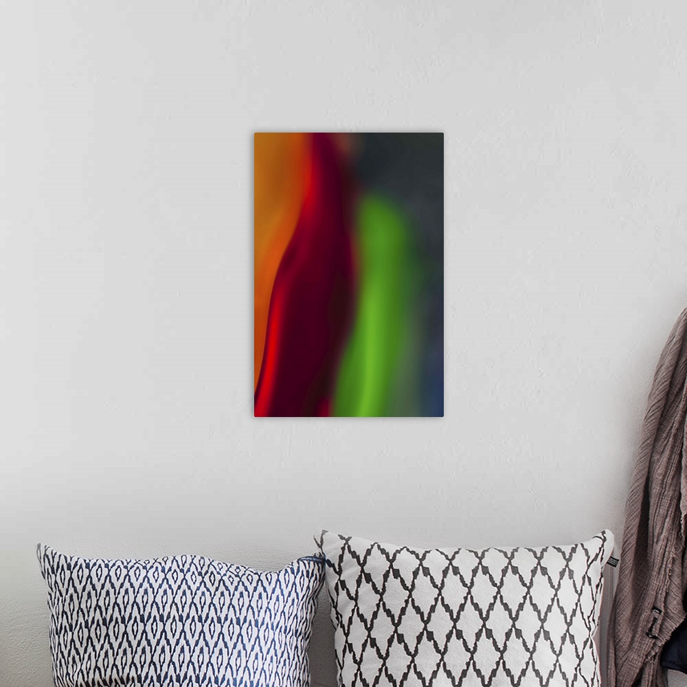 A bohemian room featuring Abstract photograph in green and red vertical layers.