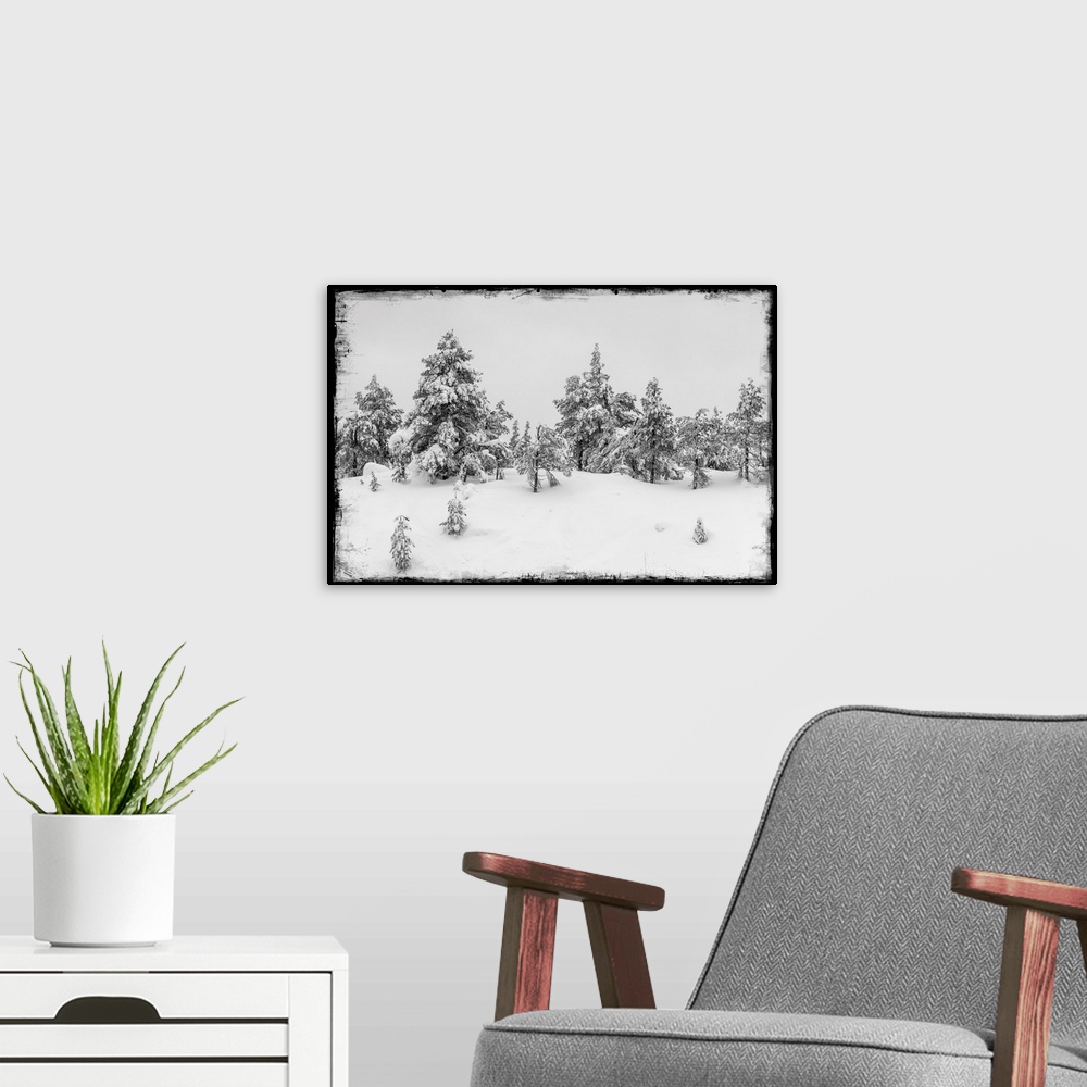 A modern room featuring Fir trees under snow with photo texture
