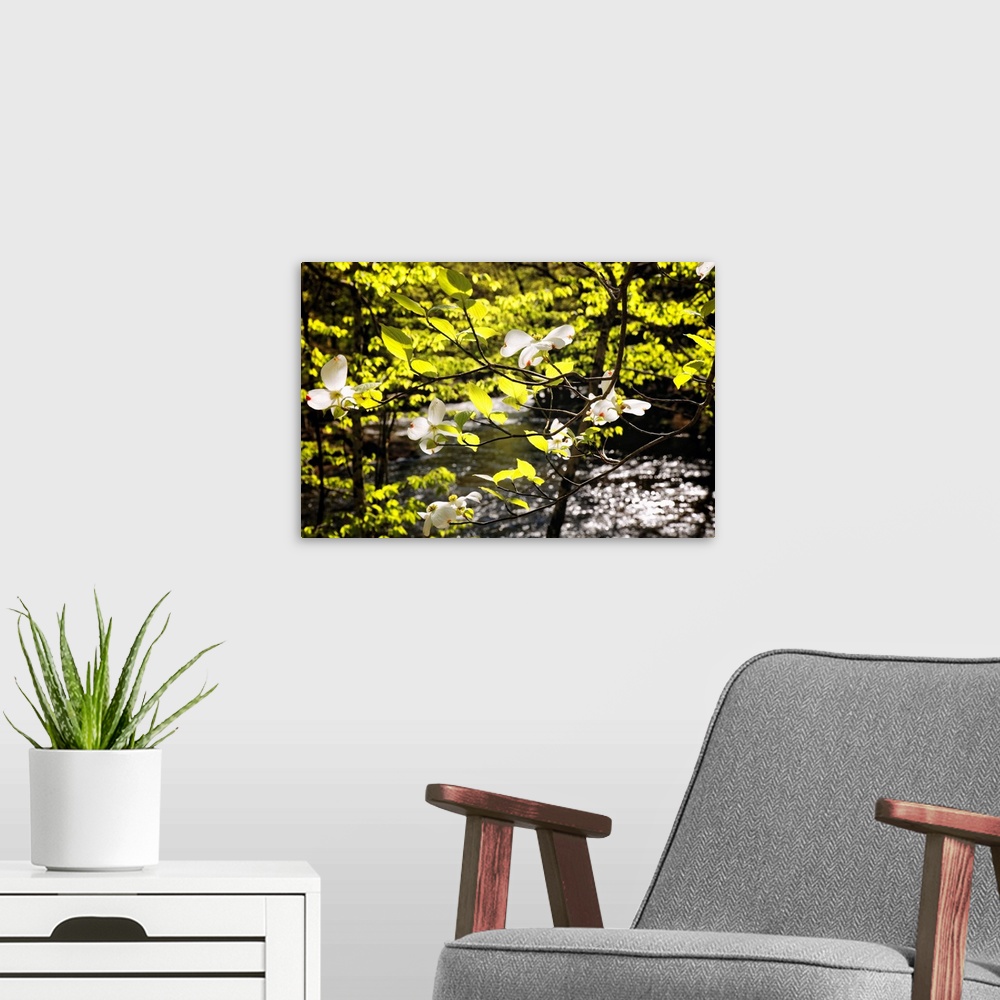 A modern room featuring A photograph of bright green leaves and little white flowers on tree branches.
