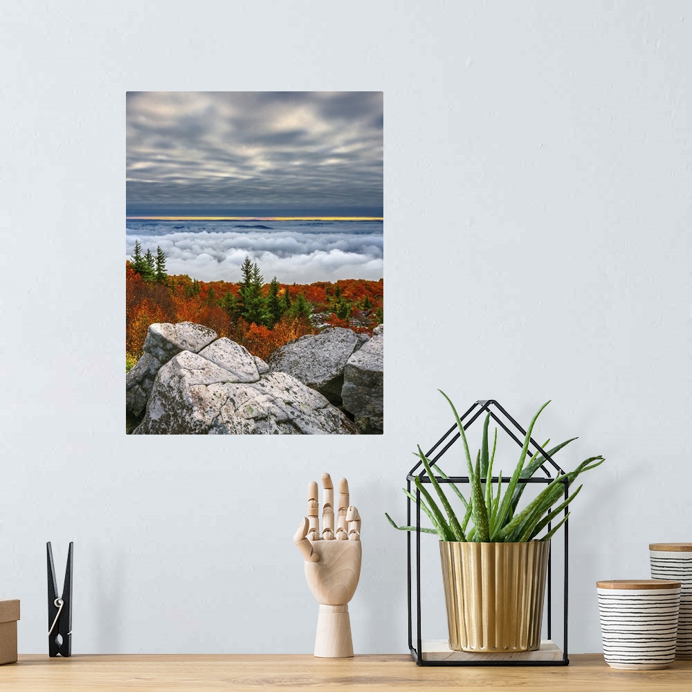 A bohemian room featuring Beautiful Fall color scene from the top of Dolly Sods in West Virginia features both clouds above...