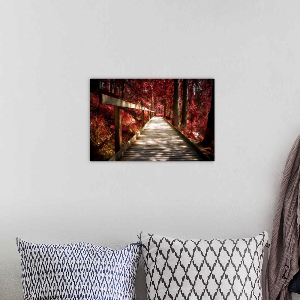 A bohemian room featuring Photo Expressionism -Wooden path in a red autumn forest.