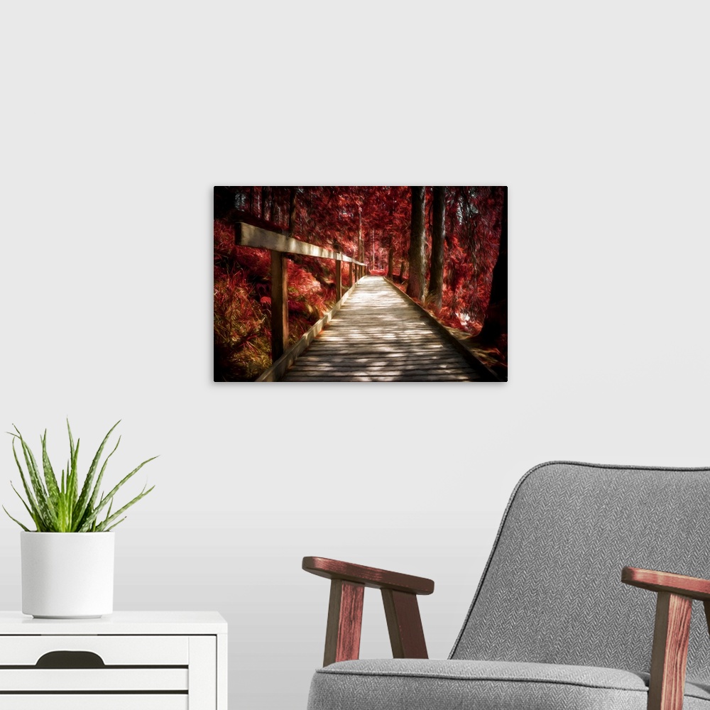 A modern room featuring Photo Expressionism -Wooden path in a red autumn forest.