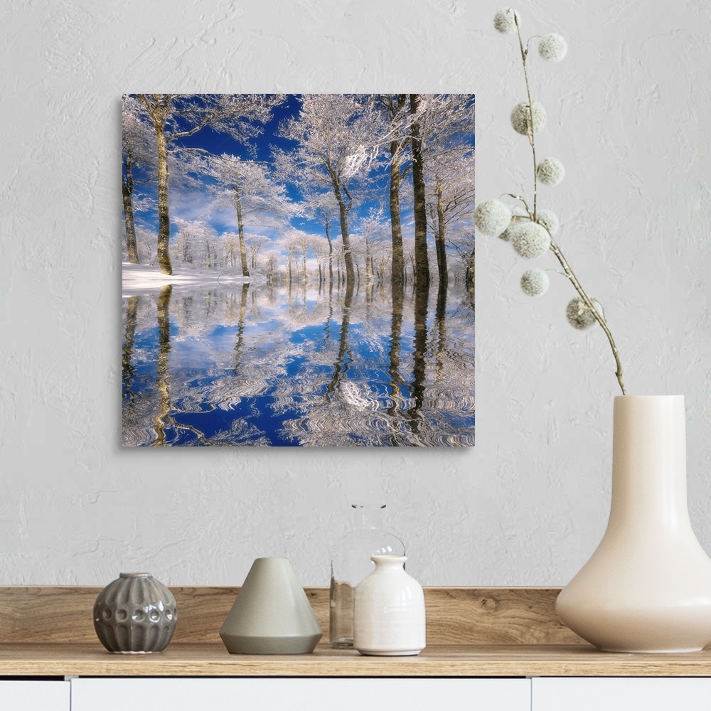 A farmhouse room featuring This square photograph of a frozen landscape shows ice covered trees reflecting in the rippling s...
