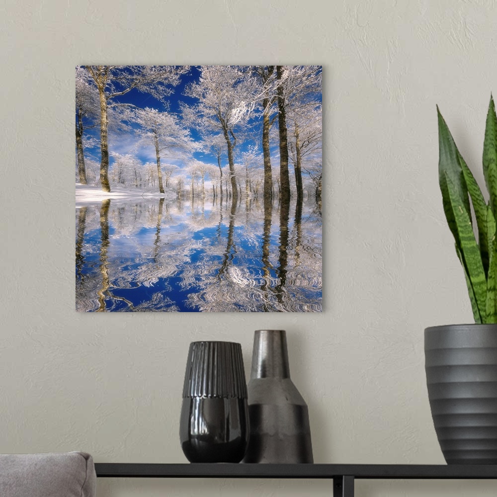 A modern room featuring This square photograph of a frozen landscape shows ice covered trees reflecting in the rippling s...