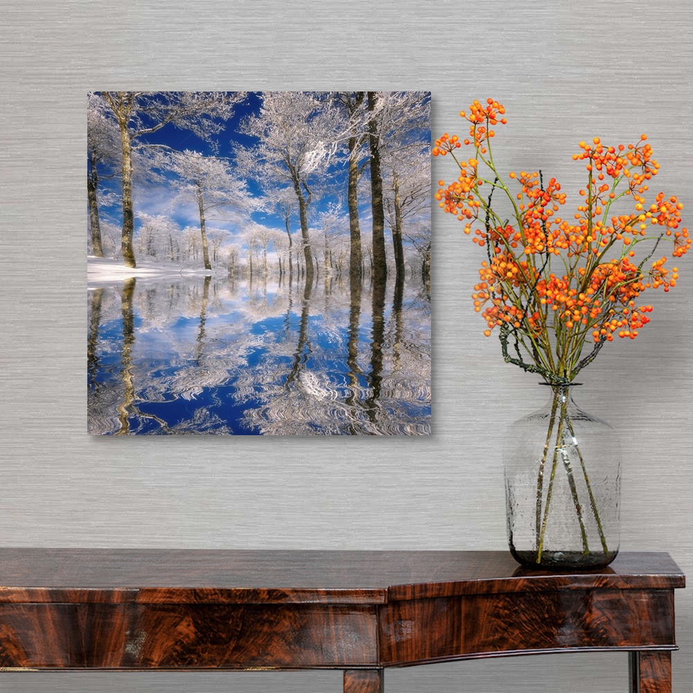 A traditional room featuring This square photograph of a frozen landscape shows ice covered trees reflecting in the rippling s...