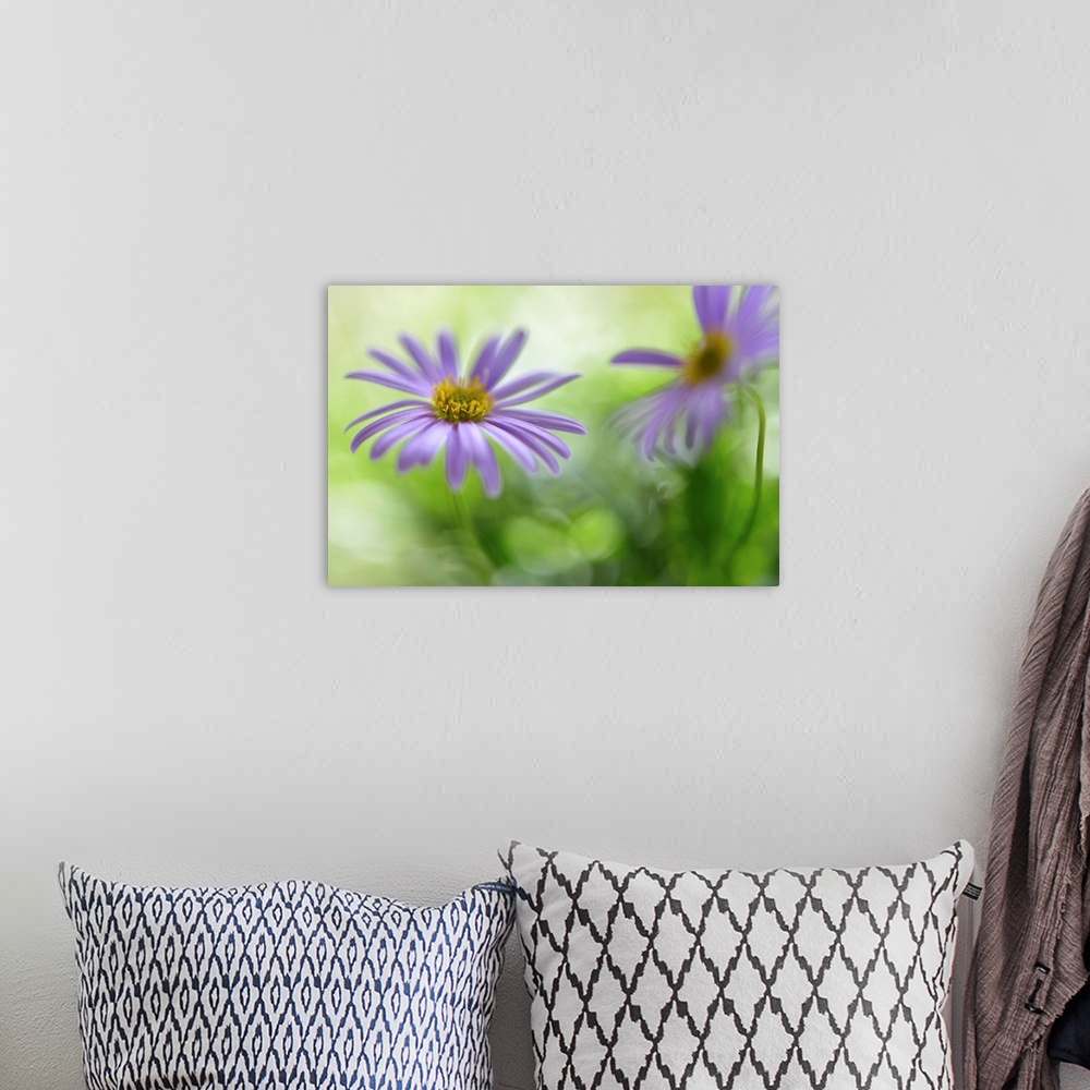 A bohemian room featuring A photograph of purple flower against a green bokeh background.
