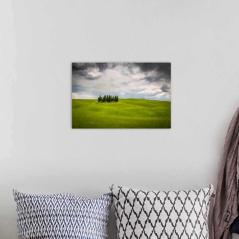 A bohemian room featuring Fine art photo of a small group of trees on a hilly landscape under a cloudy sky.
