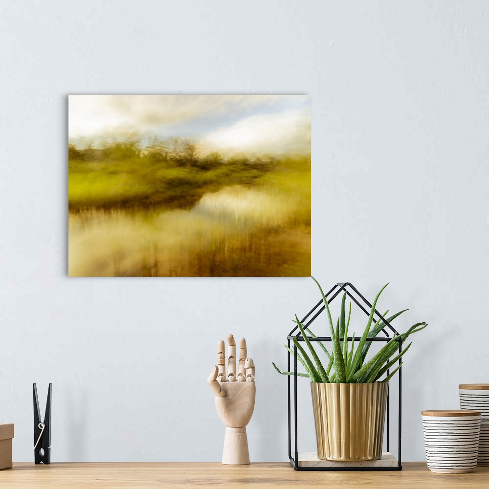 A bohemian room featuring Creative scene of a marsh