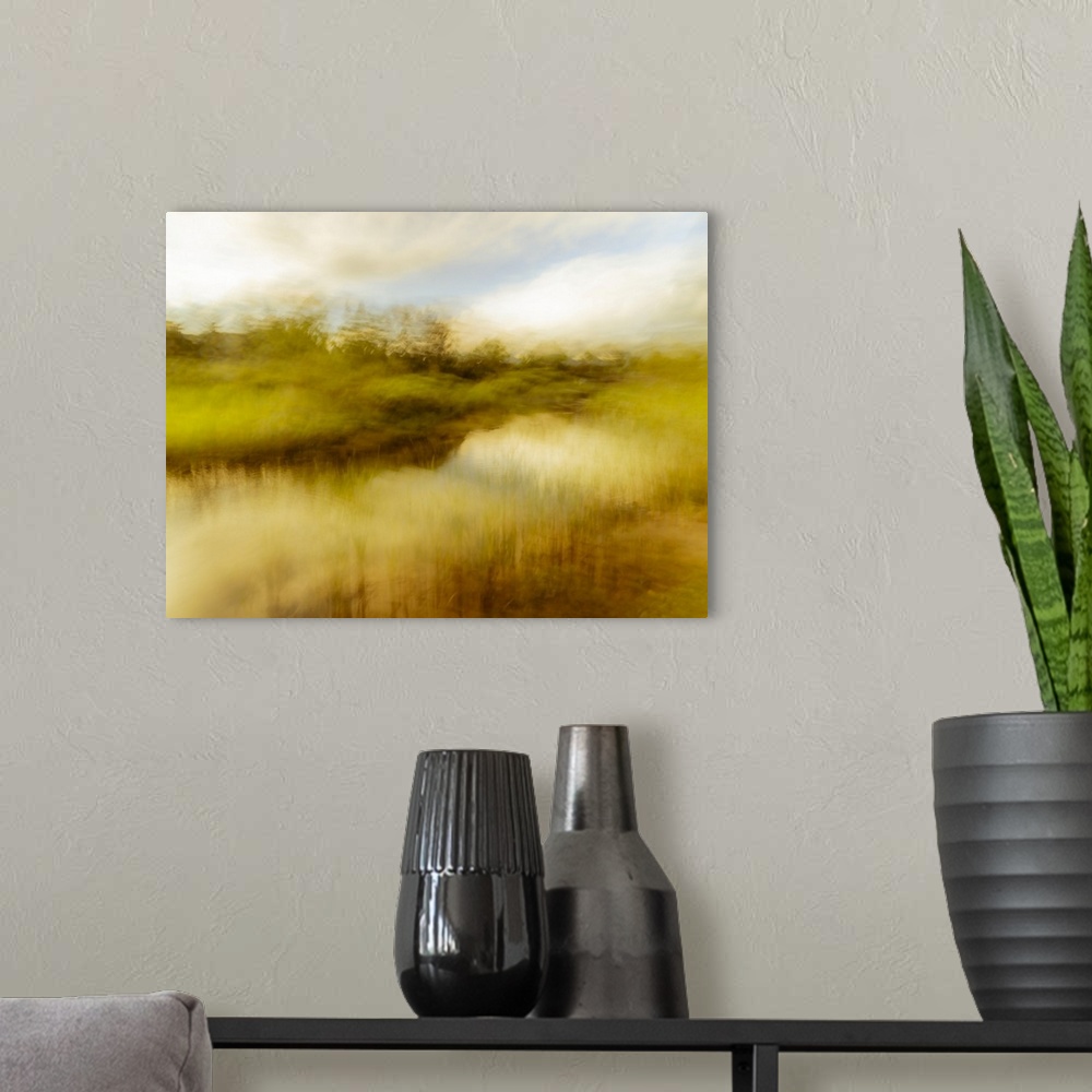 A modern room featuring Creative scene of a marsh