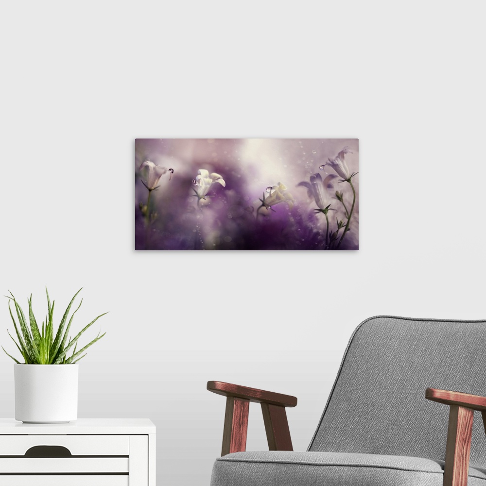 A modern room featuring Hazy purple light and bokeh light creating an ethereal floral scene.