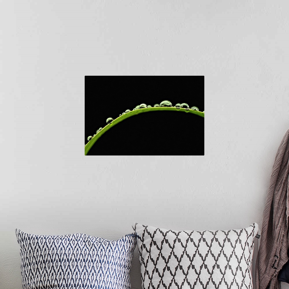 A bohemian room featuring Up-close photograph of water droplets on a blade of grass.