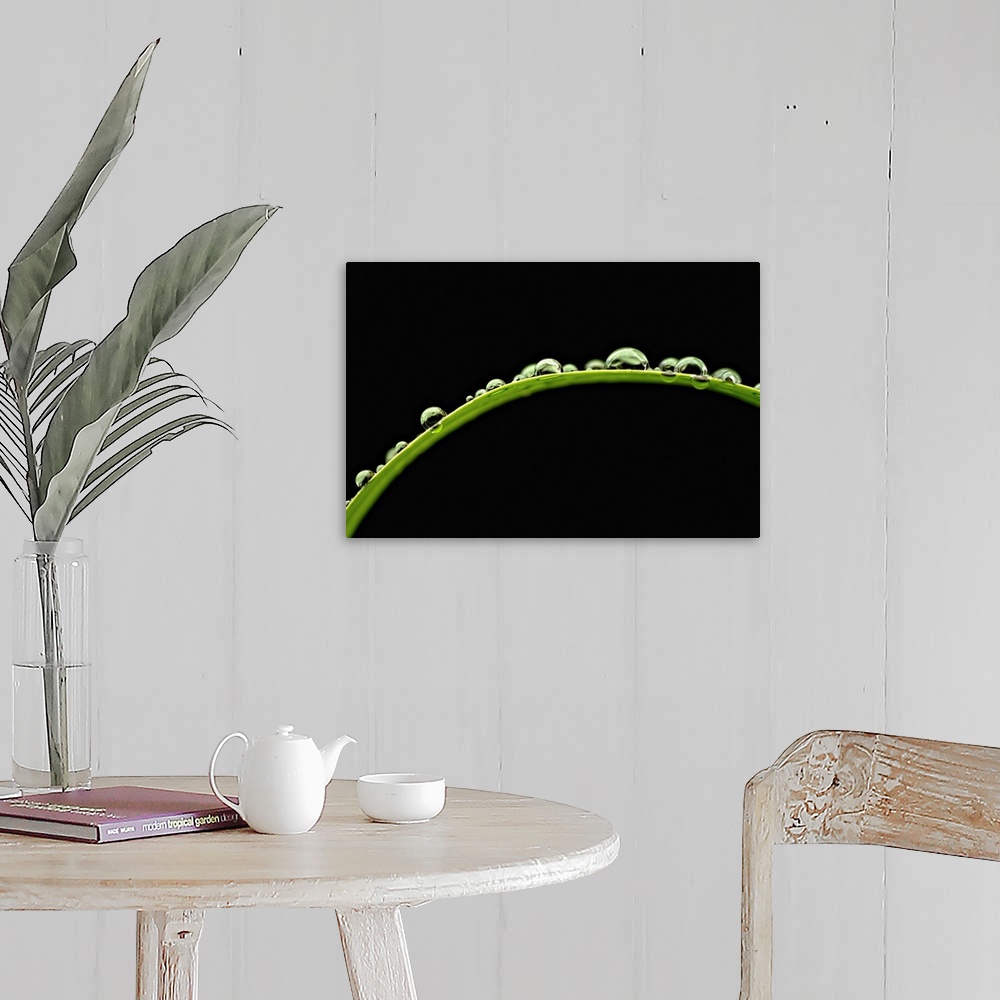 A farmhouse room featuring Up-close photograph of water droplets on a blade of grass.