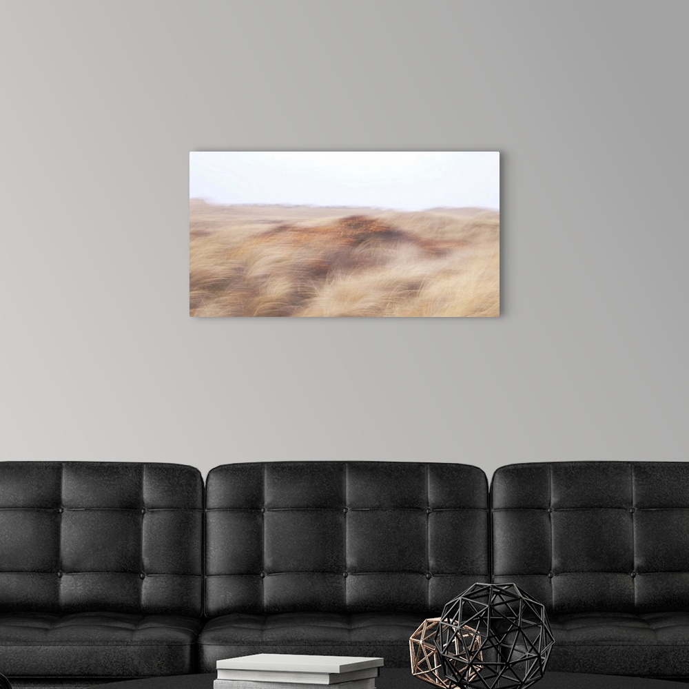 A modern room featuring Artistically blurred photo. The dunes between nature reserve Agger Tange and the North Sea, are f...