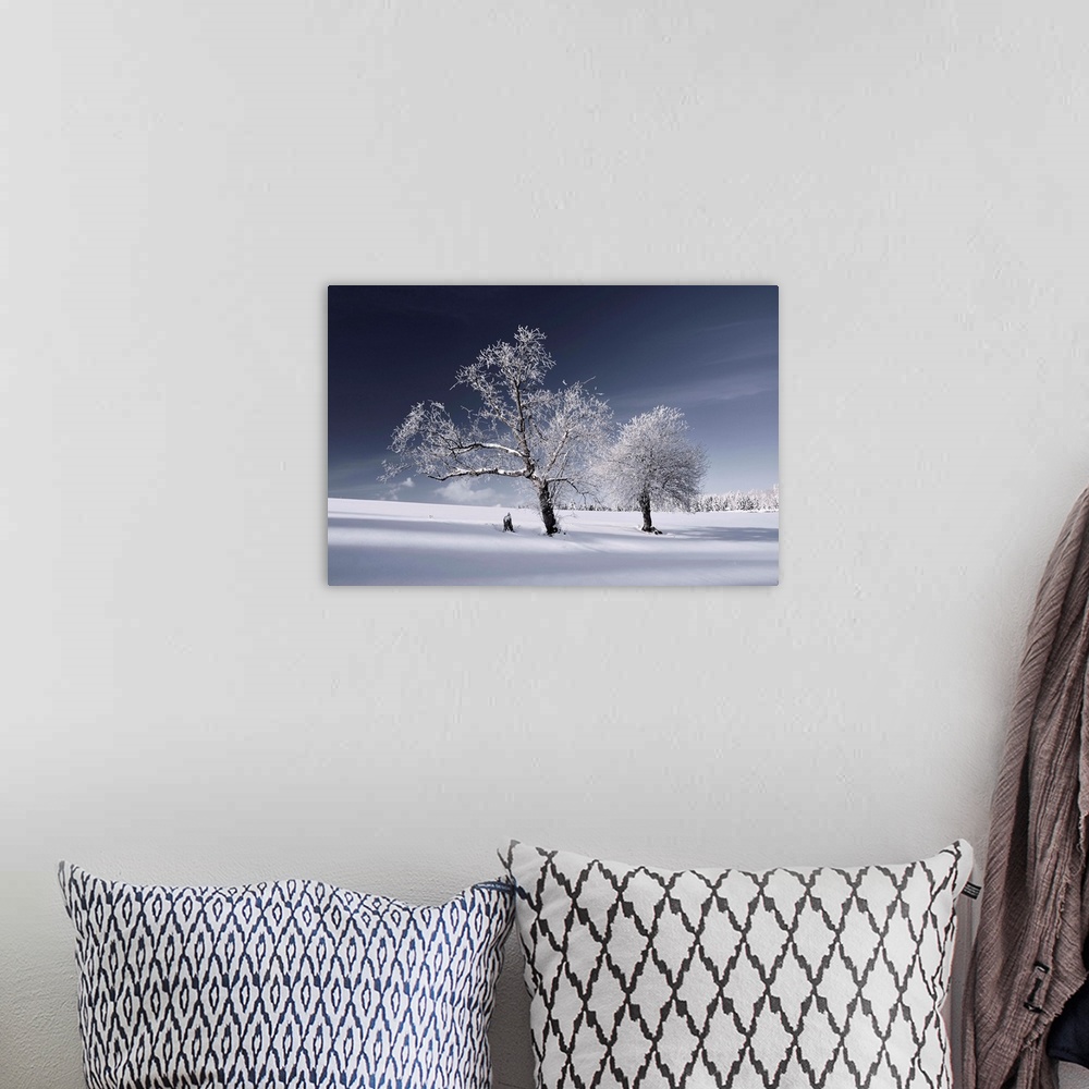 A bohemian room featuring Large photograph of a snow covered landscape, two trees in the foreground, am open field behind t...